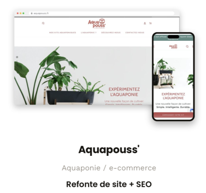 Création de site Web et SEO Aquapouss